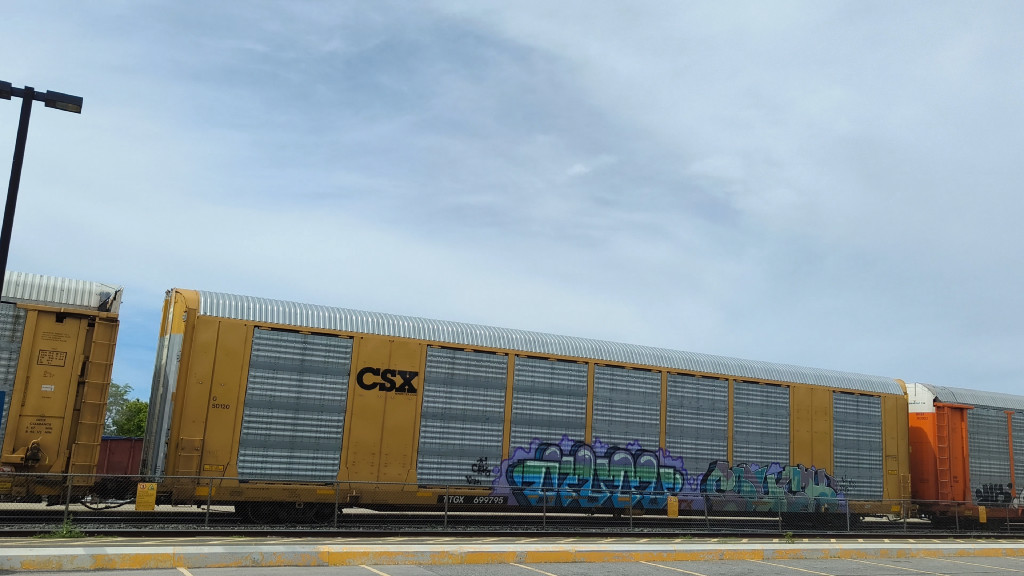 CSX G50120 (Body) TTGX 699795 (Flat)